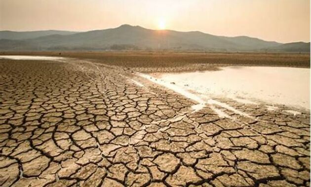 kekeringan-degradasi-lingkungan-bencana-tersembunyi-di-musim-kemarau_c96e56752.jpg
