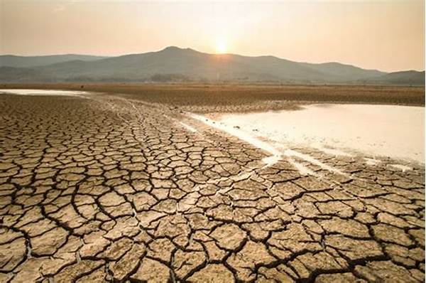 kekeringan-degradasi-lingkungan-bencana-tersembunyi-di-musim-kemarau_c96e56752.jpg