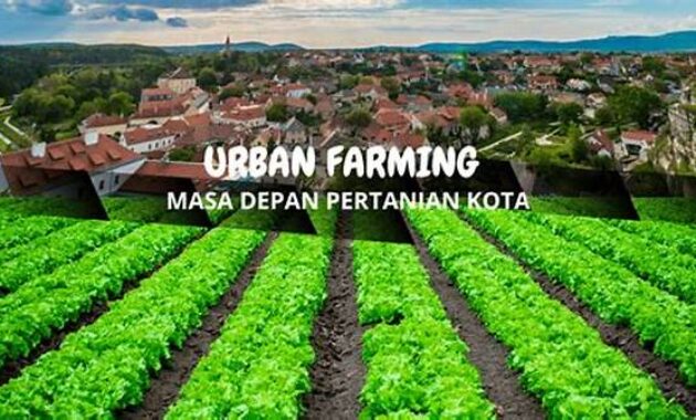 urban-farming-ketahanan-kota-inovasi-untuk-masa-depan-masyarakat-urban_b7d016f61.jpg